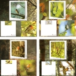 4 cartes Nature papier recyclé 500×500